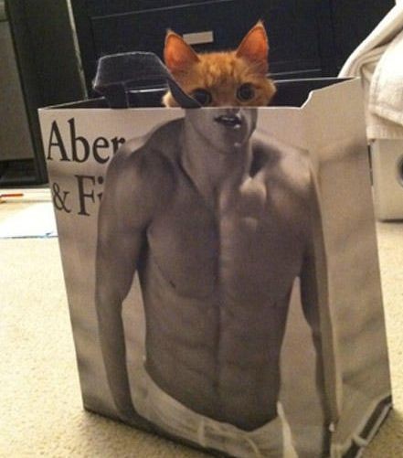 pictures captured in the right moment