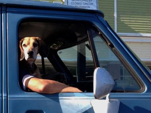 pictures captured in the right moment