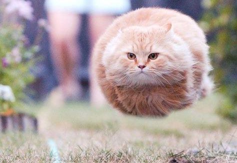 pictures captured in the right moment