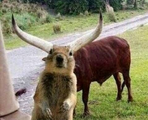 pictures captured in the right moment